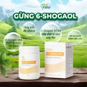 Gừng 6- Shogoal